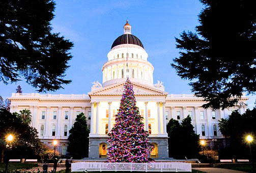 2011-11-29-ap-holiday-treejpg-8a30fabf62d12821