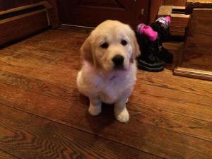 10487496_10153048189514061_4301573419064577921_n