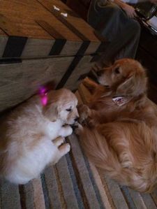 10978707_10153048220544061_7466960826078183455_n